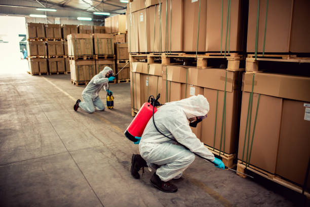 Best Flea Control Services  in Reidville, SC