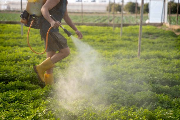 Best Local Pest Control Services  in Reidville, SC