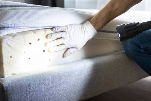 Reliable Reidville, SC Pest Control Solutions
