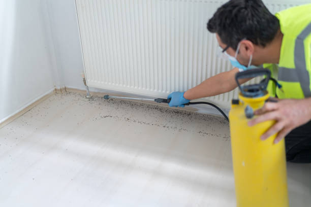 Best Affordable Pest Control Services  in Reidville, SC