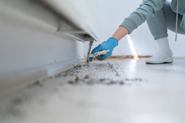 Best Mosquito Control Services  in Reidville, SC
