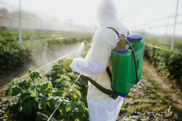 Best Pest Prevention Services  in Reidville, SC
